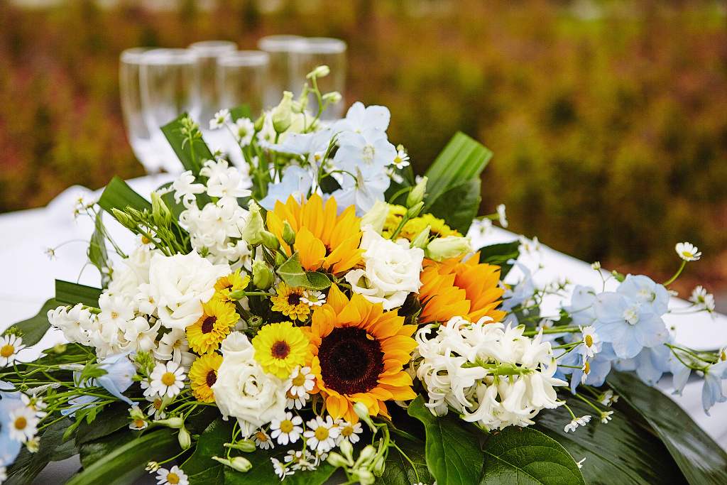 Svatba zámek Obytce