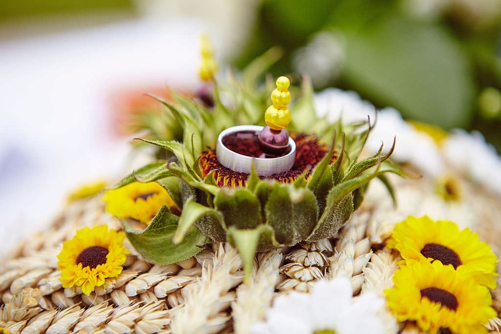 005 svatebni fotograf klatovy krutenice