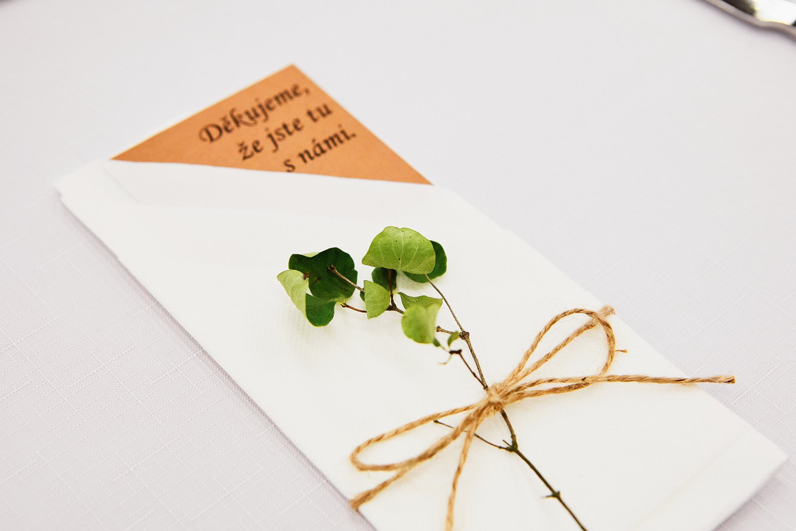 001-ceska-lipa-myslovice-svatba-klatovy