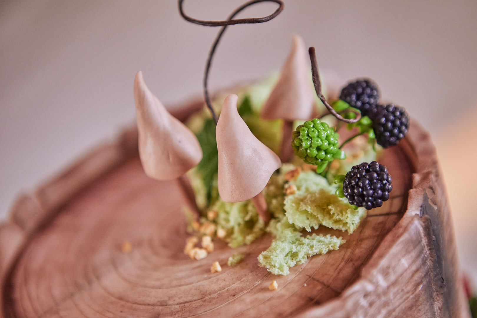 Svatba zámek Obytce